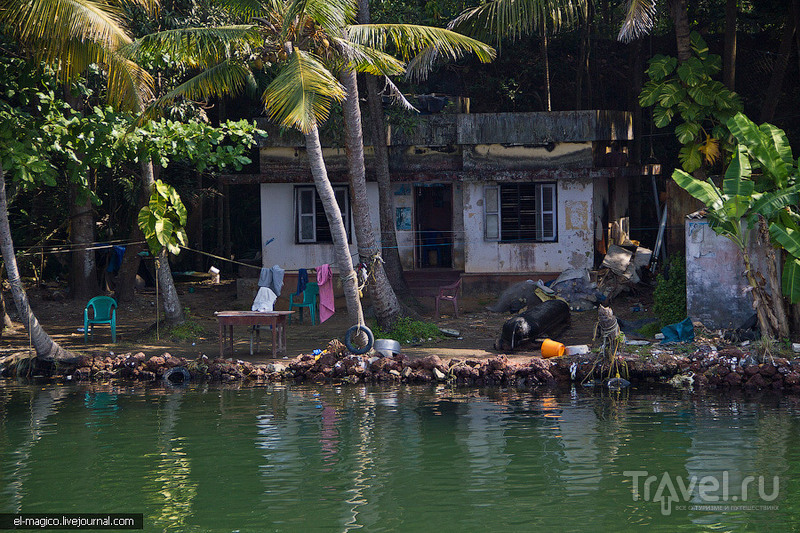Заводи Кералы - жизнь у реки / Фото из Индии