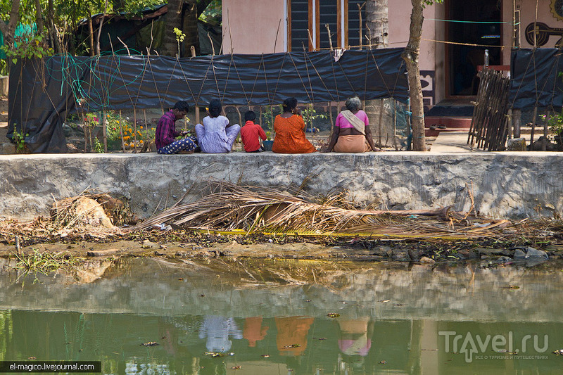 Заводи Кералы - жизнь у реки / Фото из Индии