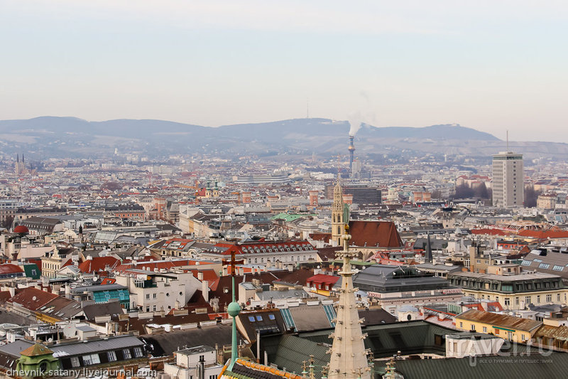 Прогулки по Вене: вид сверху / Фото из Австрии