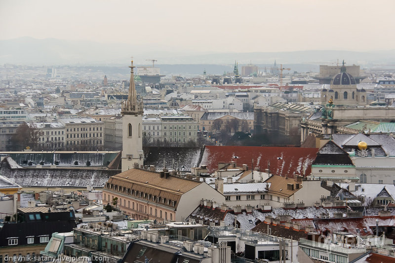 Прогулки по Вене: вид сверху / Фото из Австрии