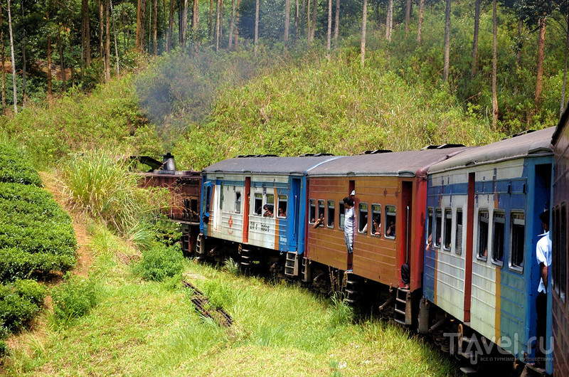 На поезде за цейлонским чаем / Шри-Ланка