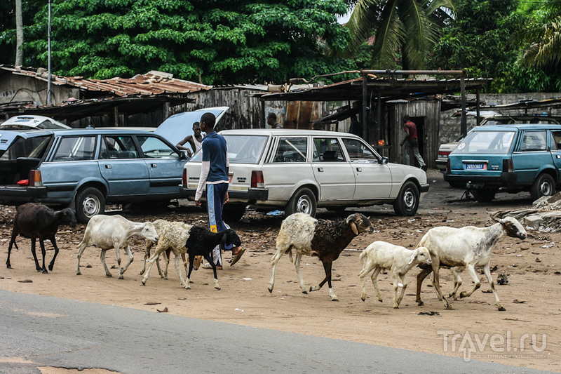 Кот-д'Ивуар / Фото из Кот-д'Ивуара