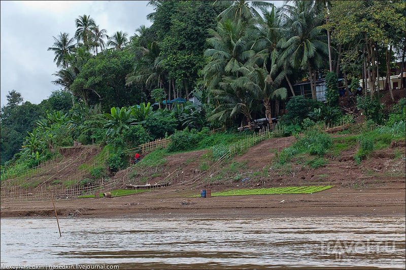 Река Меконг и лаосские деревушки / Фото из Лаоса