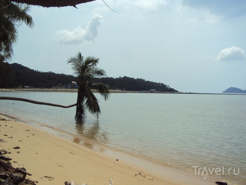 Ко-Панган. "Мангровый" пляж / Таиланд