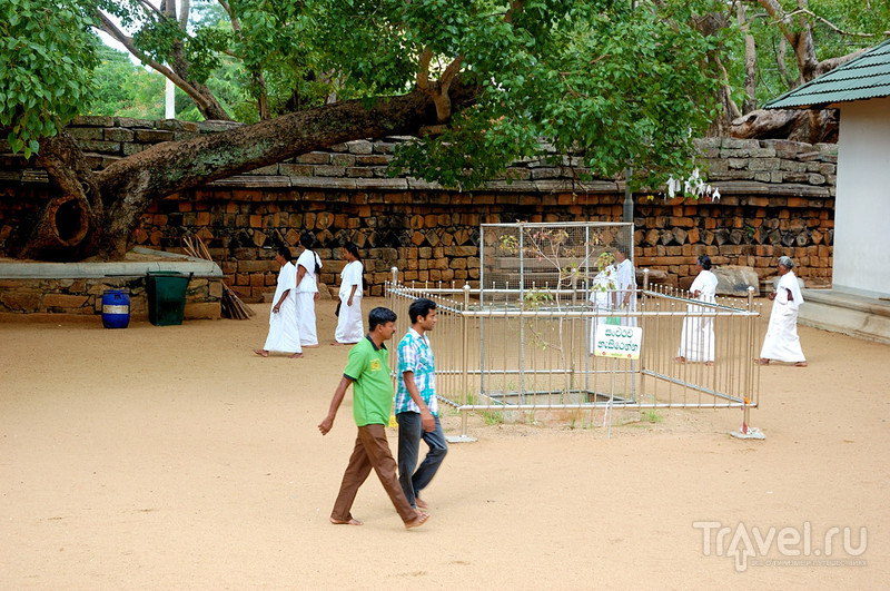 Поллунарува и Аннурадхапура / Фото со Шри-Ланки
