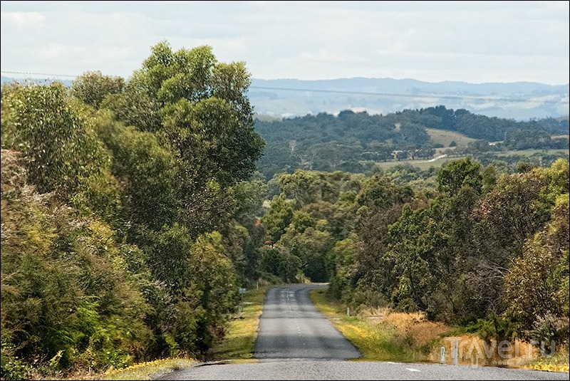 Wilsons Promontory, Australia /   