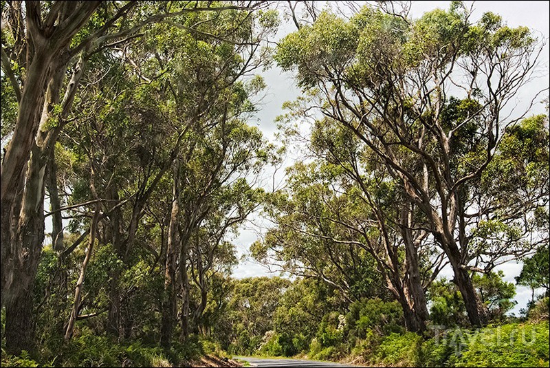 Wilsons Promontory, Australia /   