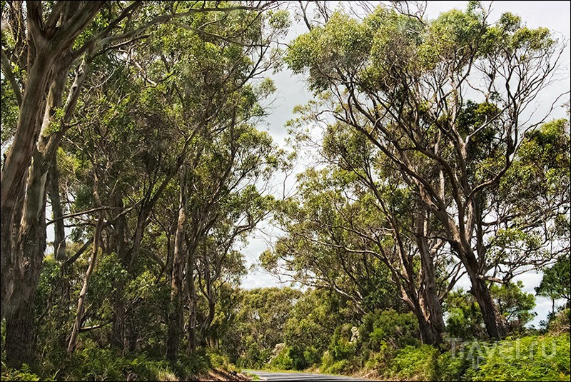 Wilsons Promontory, Australia / Фото из Австралии
