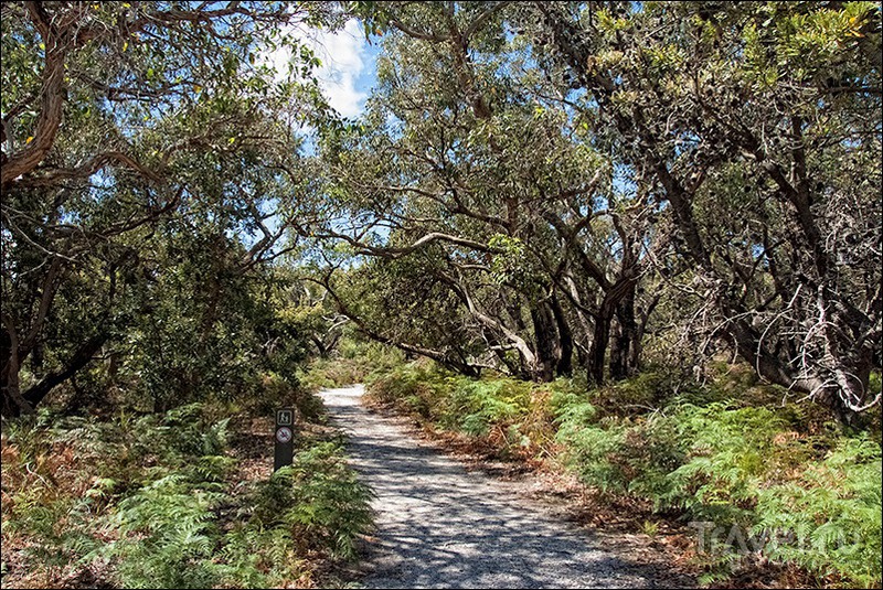 Wilsons Promontory, Australia /   