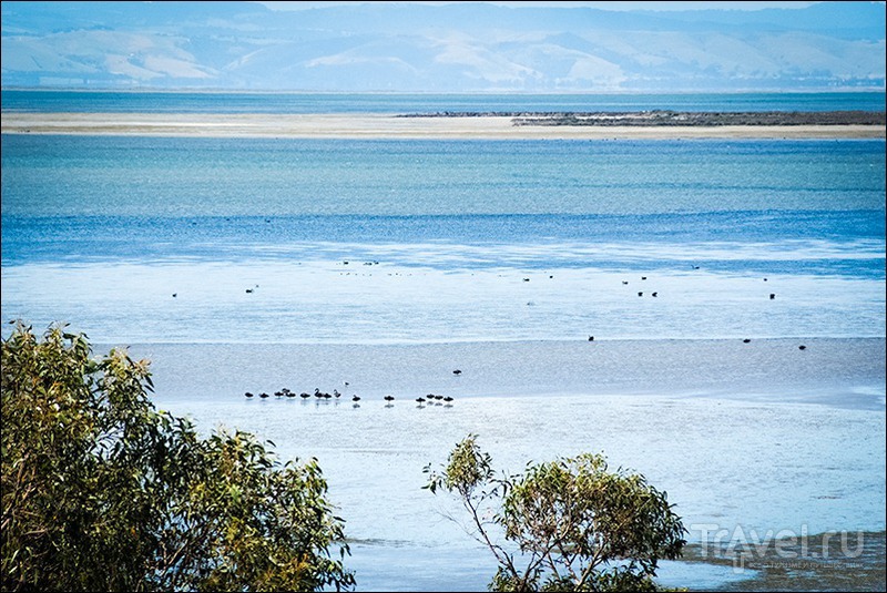 Wilsons Promontory, Australia / Фото из Австралии