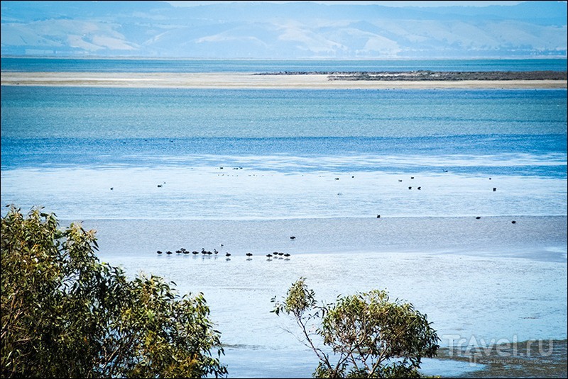 Wilsons Promontory, Australia /   