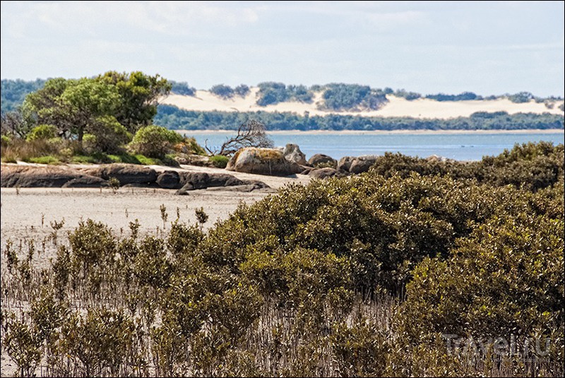 Wilsons Promontory, Australia /   