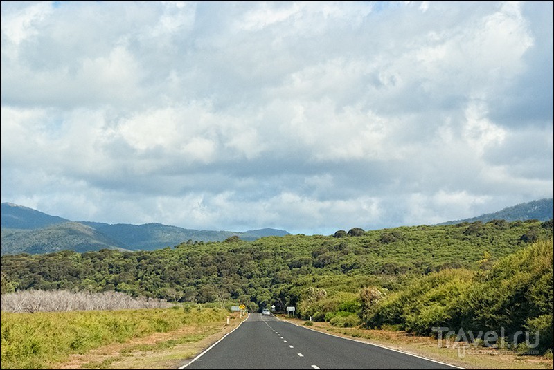 Wilsons Promontory, Australia /   