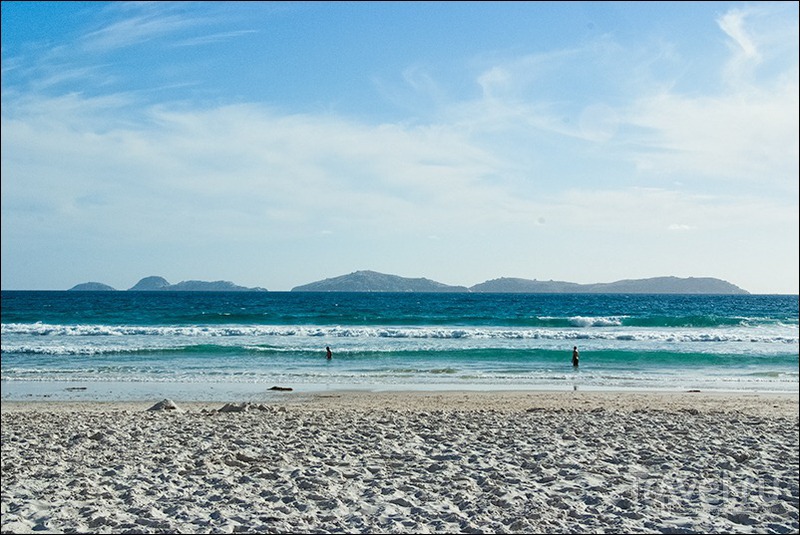 Wilsons Promontory, Australia /   