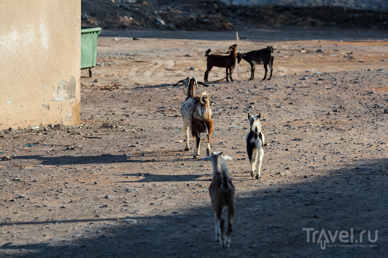 Поездка в Оман / Фото из Омана