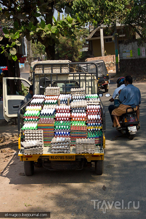 Дорога из Варкалы до Муннара - столицы чайных плантаций Южной Индии / Фото из Индии
