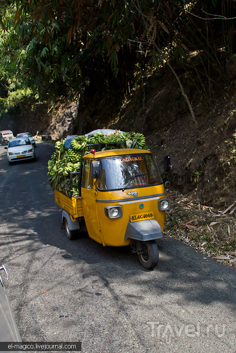 Дорога из Варкалы до Муннара - столицы чайных плантаций Южной Индии / Фото из Индии