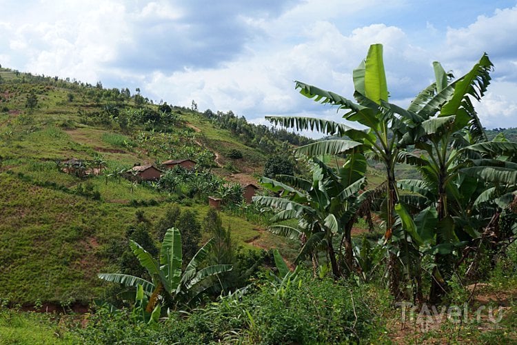 Негр под пальмой / Бурунди