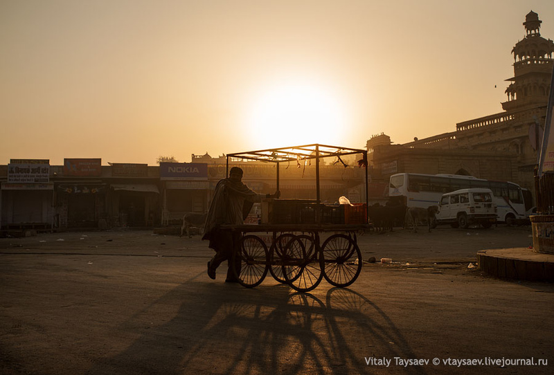 Золотой город на краю пустыни - Джайсалмер / Фото из Индии