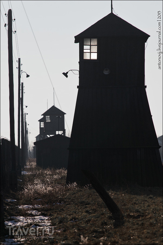 Концентрационный лагерь Майданек / Фото из Польши