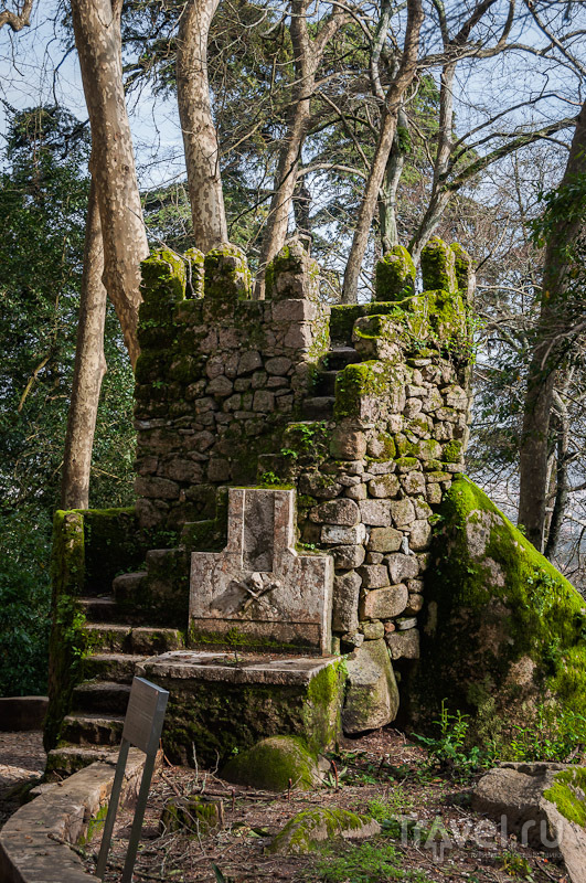 Крепость Мавров и короткая прогулка по Синтре / Фото из Португалии