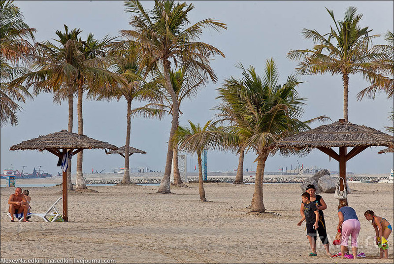 Пляж Аль-Мамзар в Дубае / Фото из ОАЭ