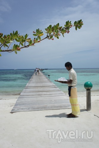 Мальдивы - жизнь по концепции "no news, no shoes" / Мальдивы