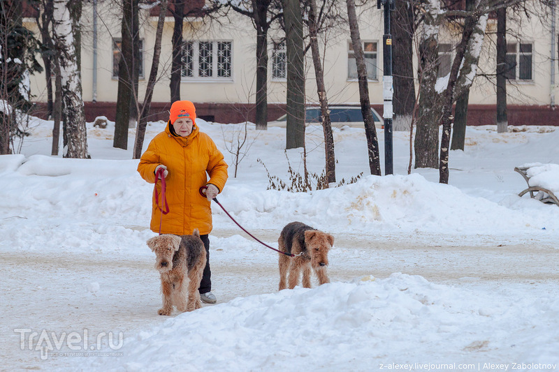 Зимняя Йошкар-Ола. Тур выходного дня / Фото из России