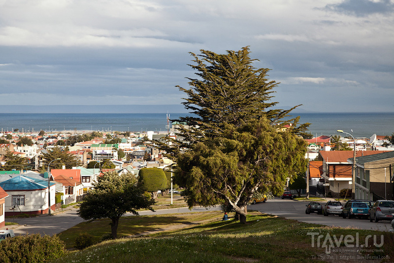 В городе Пунта-Аренас / Фото из Чили