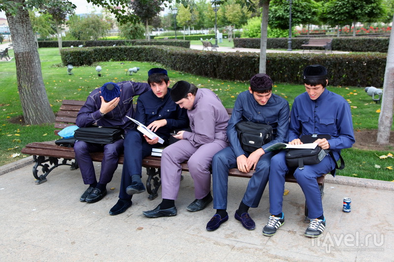 Чеченские студенты / Фото из России