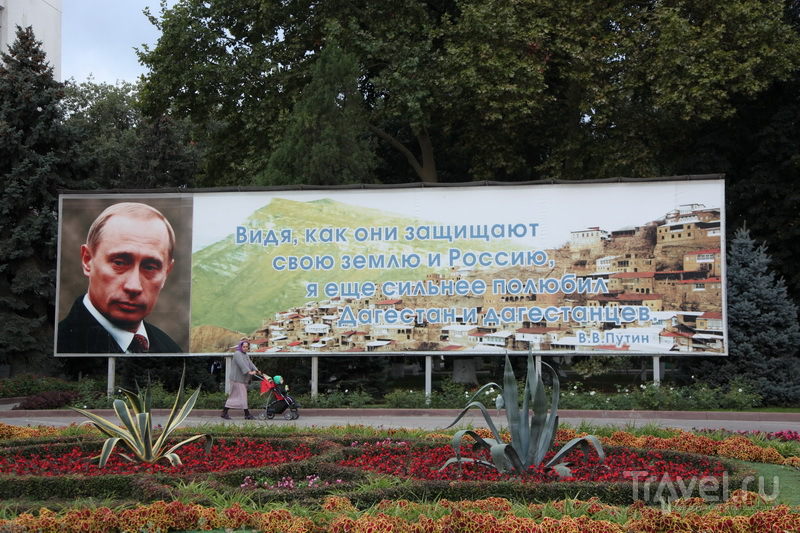 В. Путина на Кавказе любят и уважают / Фото из России