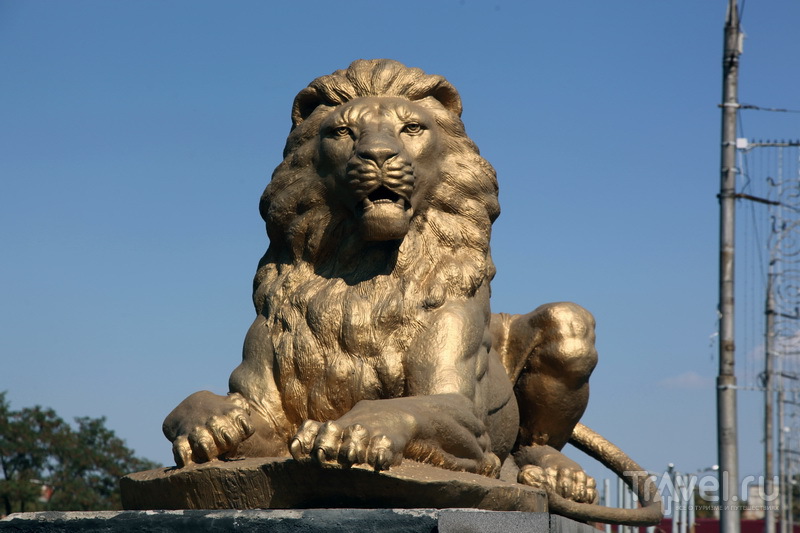 Даже львы на мосту через Терек похожи на Сталина / Фото из России