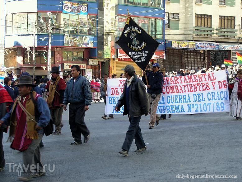 Демонстранты несут флаги своих департаментов / Боливия