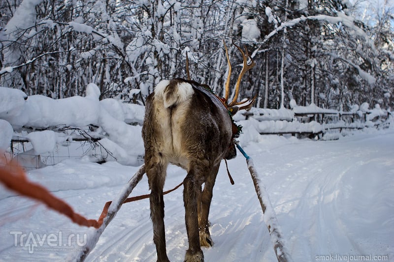Сказочная Лапландия, охота на северное сияние / Финляндия
