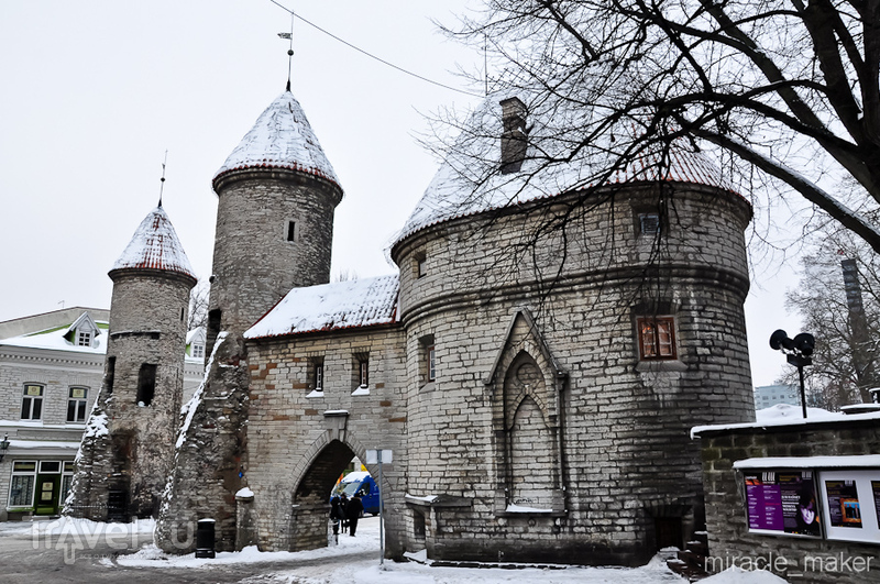 Вируские ворота в Таллине, Эстония / Фото из Эстонии