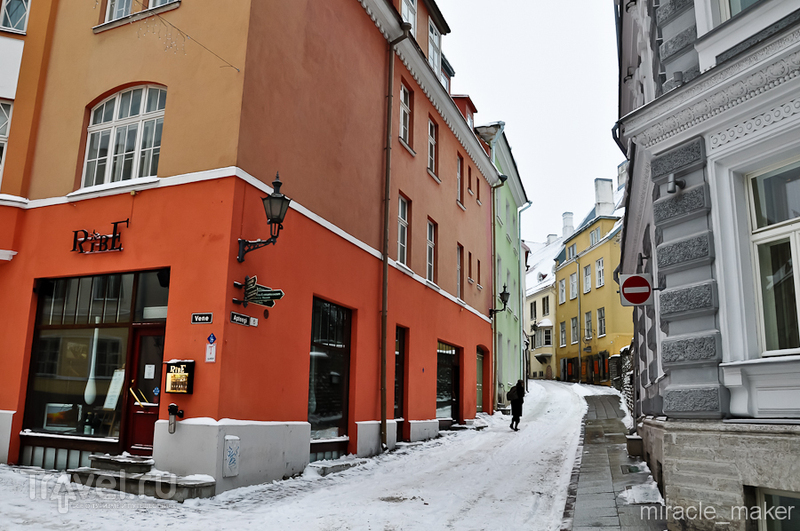 Таллин зимой / Фото из Эстонии