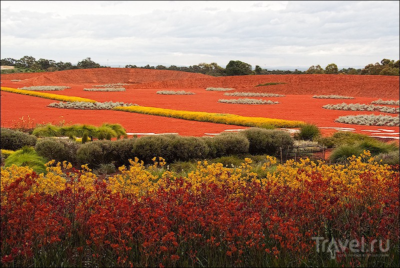 Royal Botanic Gardens, Cranbourne, Australia /   