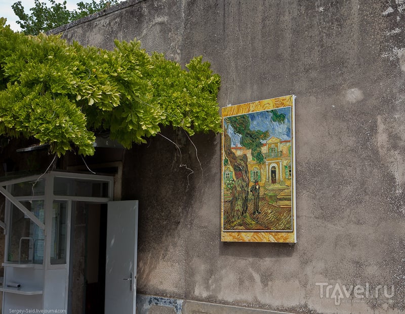 Нострадамус и последний год жизни Ван Гога / Фото из Франции