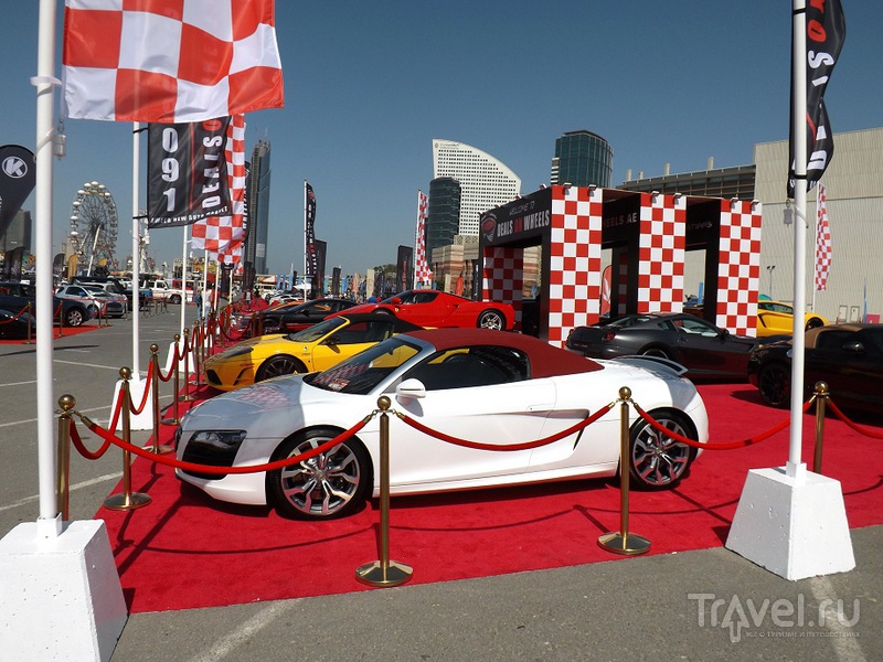 Luxury Car Show 2013  ,   / 