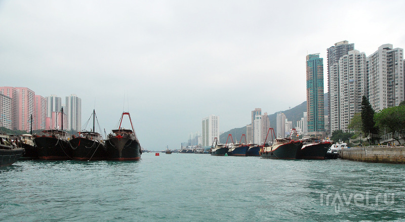Гонконг и Макао / Фото из Макао