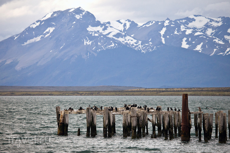 Горы, льды и цветные озёра Торрес дель Пайне / Фото из Чили