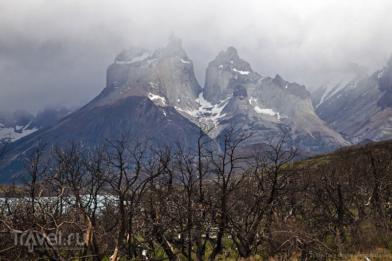 Горы, льды и цветные озёра Торрес дель Пайне / Фото из Чили