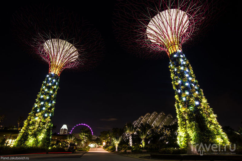 Gardens by the Bay - еще одно чудо света в Сингапуре / Сингапур