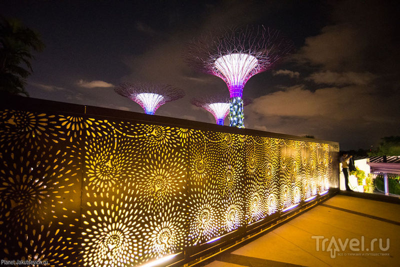 Gardens by the Bay -       / 