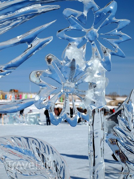 Праздник солнца или День оленевода в Якутске / Фото из России