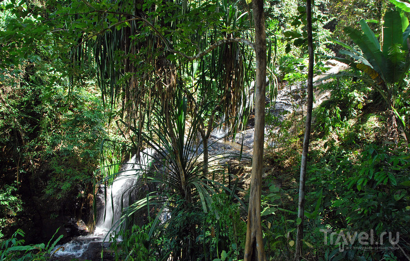   (Durian Perangin Waterfall)   /   