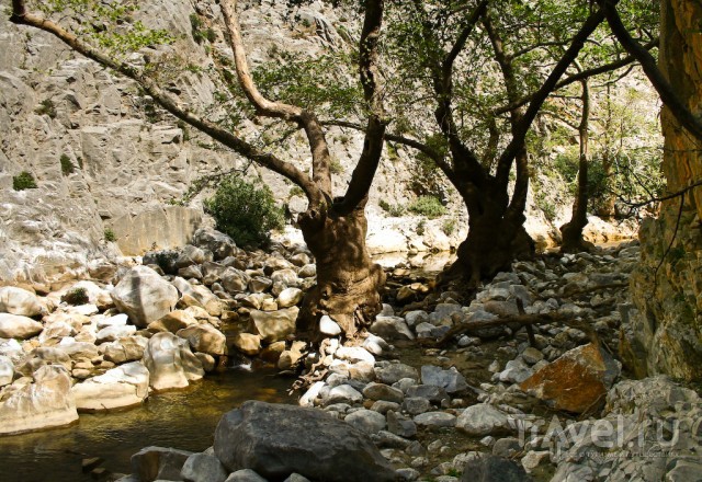 Неизвестный Крит - ущелье Прассано / Греция