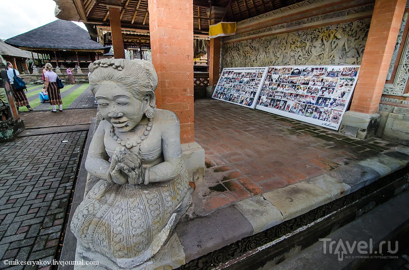 Зарисовки о Бали: Убудина и самый дорогой кофе в мире / Фото из Индонезии