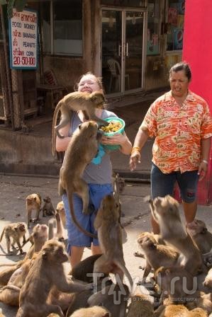 В стране летучих обезьян... / Таиланд