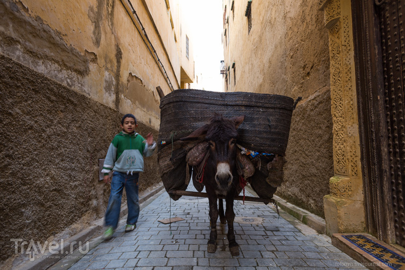 Марокко, Фес: по улицам медины / Фото из Марокко